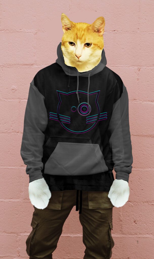 Cat wearing a hoodie